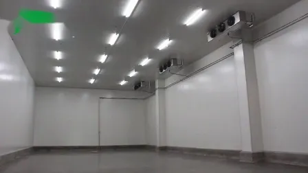 O armazenamento frio do sistema de refrigeração frutifica equipamentos da sala fria do sistema da sala mais fresca